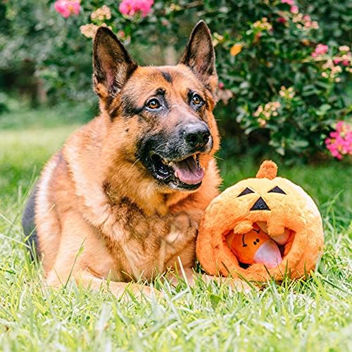 Midlee Pumpkin Find a Toy Halloween Dog Toy Interactive Plush SqueakerGift