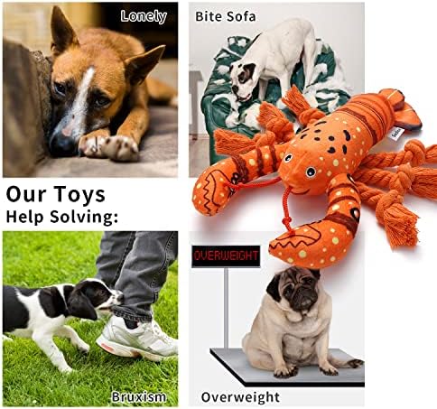 Sedioso Dog Toys, Dog Plush Toy for Large Breed, Cute Squeaky Dogs Toy with Crinkle Paper, Puppy Chew Toy for Small, Middle, Large Breed (Lobster)
