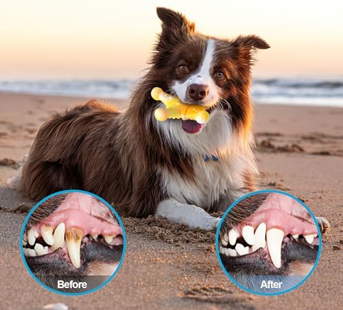 PETSTA Dog Chew Toys for Aggressive Chewers, Durable Dog Toys for Large Dogs, Heavy Duty Dog Toys/Large Dog Toys/Indestructible Dog Toys, Tough Dog Toys for Medium/Large Dogs Breed (New 4 Pack)