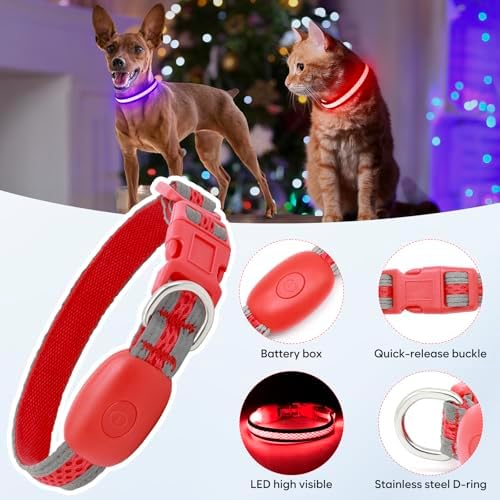 Flashseen LED Dog Collar, Light Up Dog Collar USB Rechargeable, Red, XS
