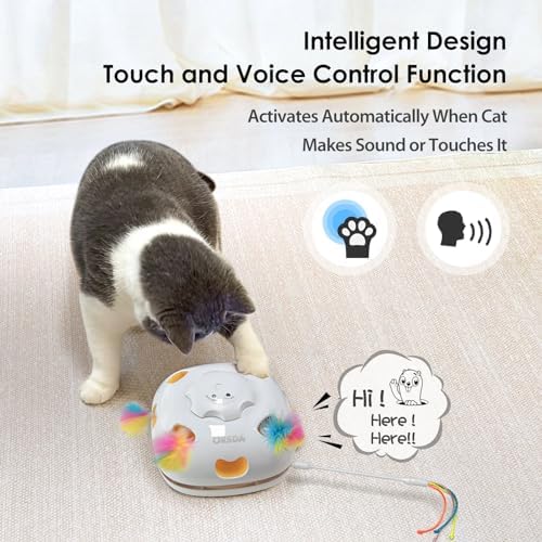 ORSDA Cat Toys, 4 in 1 Interactive Cat Toys for Indoor Kitten, Automatic Electric Enrichment Hide and Seek, Chase the Feather, 8 Holes Mice Whack-A-Mole, Catch Magic Wand