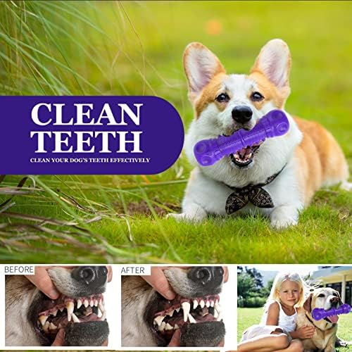 ZIKATON Dog Squeaky Toys for Aggressive Chewers, Durable Chew Toys for Large Medium Breed Dog, Tough Durable Dogs Toys with Natural Rubber