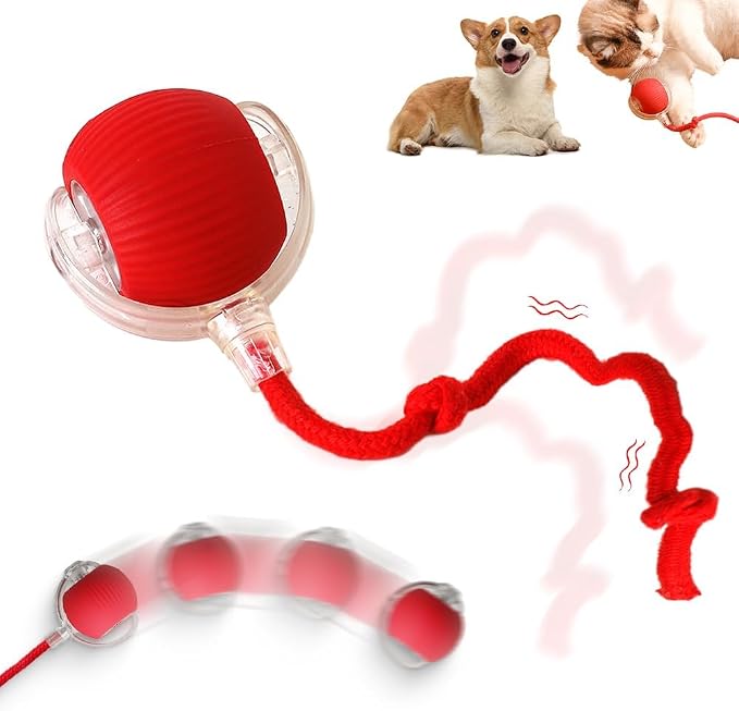 Interactive Rolling Dog Ball, 2026 New Automatic Interactive Dog & Cat Ball Toy, Self-Moving 360° Rolling Ball for Dogs & Cats (Red)