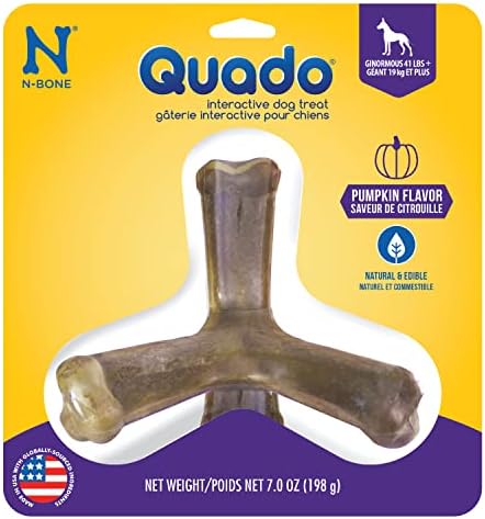 N-Bone Nbone 115097 Quado in Pumpkin, Large (575174)