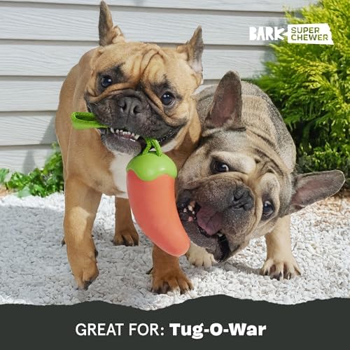 BarkBox Habanero Pupper Dog Toy - for Medium Dogs