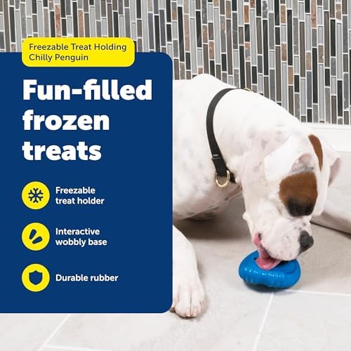 PetSafe Chilly Penguin Freezable Treat Holding Dog Toy, Medium/Large