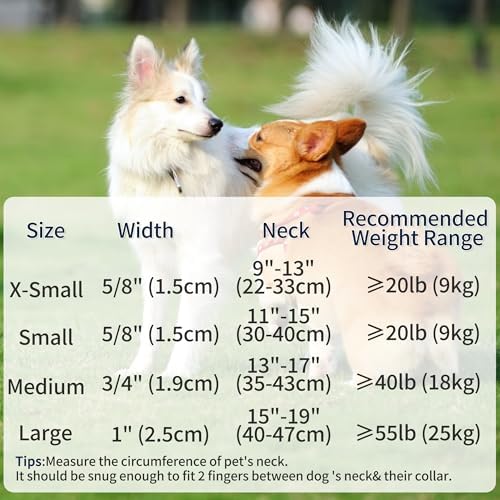Mile High Life Reflective Dog Collar, Adjustable Lightweight Quick Release