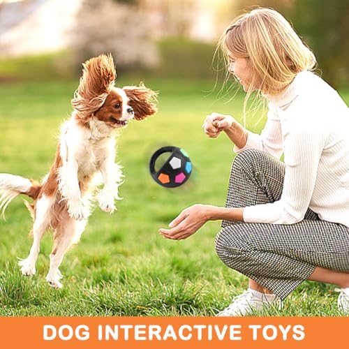 Dog Calming Ball with Handle -Squeaky Floating Rubber Dog Soccer Ball,Black