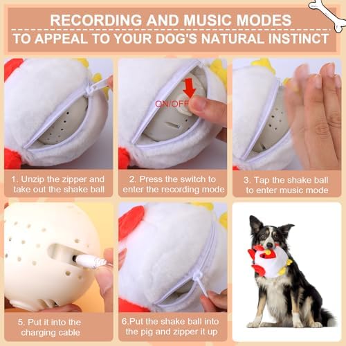 BABORUI Interactive Dog Toys Rooster, Jumping Squeaky Dog Toys with Recording and Music Modes, Rechargeable Moving Dog Chew Toys for Small/Medium/Large Dogs to Keep Them Busy(Rooster)