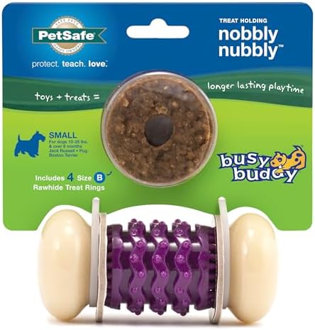 PetSafe Busy Buddy Nobbly Nubbly Treat Holding Dog Chew Toy, Small