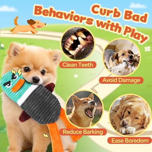 Tough Dog Toys, 2 Pack No Stuffing Squeaky Toys