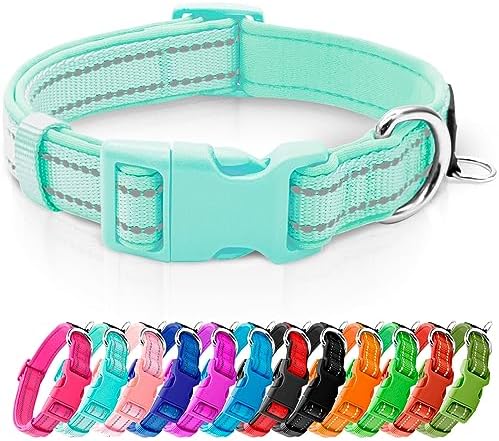 azuza Reflective Dog Collar,Soft Neoprene Padded Pet Collar with ID Tag Ring,Adjustable for Small Dogs,Teal,S