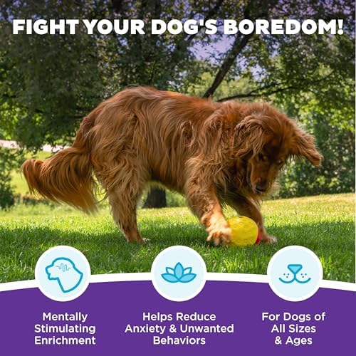 Outward Hound Nina Ottosson Treat Tumble Dog Toy Puzzle Ball, 5.8" | Level 1 Easy, Food-Dispensing Ball, Holds 1 Cup Kibble or Treats, No BPA, Interactive Enrichment, Dogs & Puppies