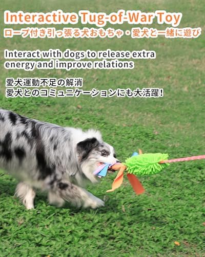 SCHITEC Tug Toy for Dogs, Bungee Tug of War Rope Toys with Squeaky Sound for Small Medium Large Dog, Puppy Training Pull Toy for Exercise & Interactive Play Games