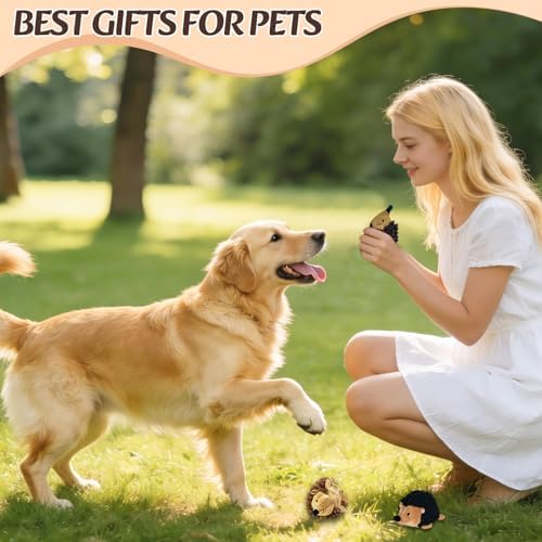2-in-1 No-Stuffing Hedgehog Dog Toys 5PCS, Squeaky Ball for Throwing Play | Interactive Chewing Toys for Medium and Small Pets, Durable Plush for Companion, Keep Puppy Busy, Holiday Gift