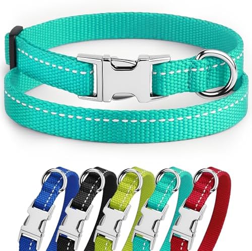 Reflective Dog Collar, Quick-Release Buckle (Mint Green, 7-11 Inch)