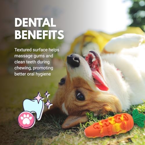 Consumable Corner - Carrot Dog Toy - Silicone Squeaky Chew Toy
