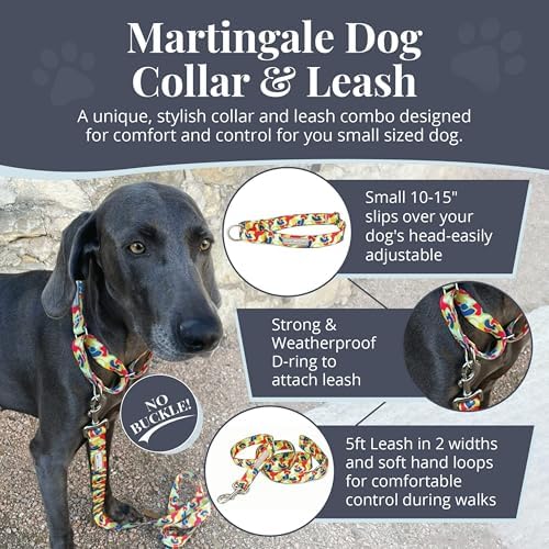 Lucky Love Dog Martingale Collar & Leash Set No Slip Cute – Oscar, Small
