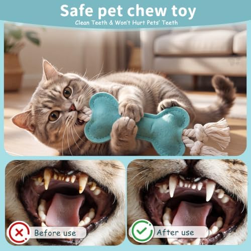 Dog Rope Knot Toy for Small Dogs and Cats Rope Toy for Puppy Chew Toys Cotton Interactive Pull Dog Toys for Dogs and Cats (Blue)