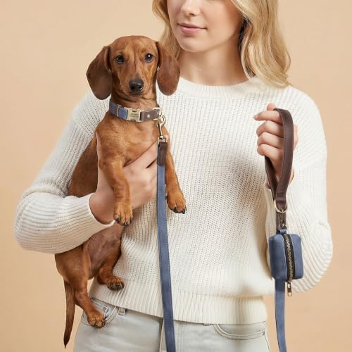 Personalized PU Leather Dog Collars, Quick Release Buckle, Blue,S