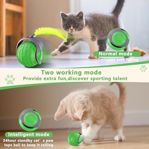 Cat Toys,Interactive Cat Toys Ball for Bored Indoor Cat,Green
