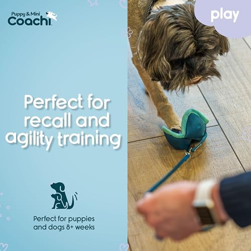 Coachi Puppy & Mini Chase & Treat - Great for Play and Chase