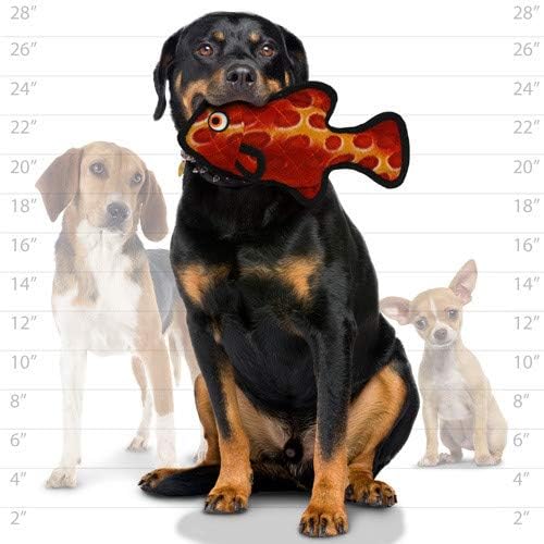 TUFFY® - 2 Pack Original : Fish Dog Toy : : Ultra Durable Plush Toy with Multiple Layers & Reinforced Seams, Washable and Floats, Original Construction