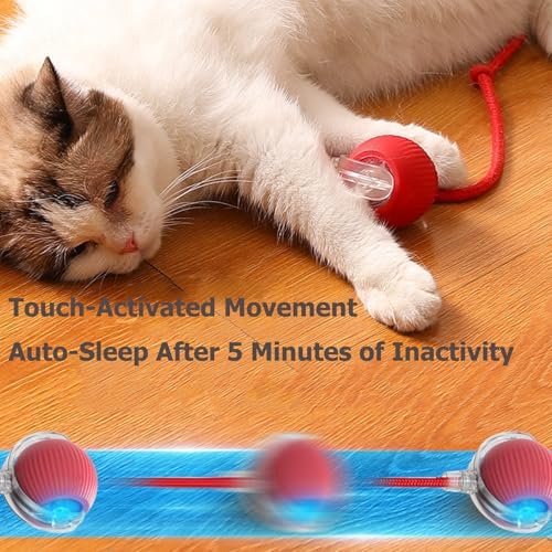 Interactive Electric Pet Ball, USB Rechargeable Auto Rolling Toy with Tail