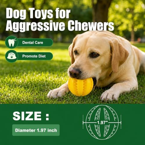 GASHIK Dog Treat Ball for Dogs, Rubber Dental Chew Toy for Dogs