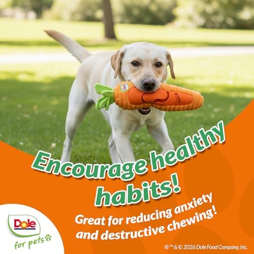 Dog Puzzle Toy with Squeaker, Carrot Snuffle Dog Treat Toy for Small and Medium Dogs, Dog Enrichment Toys