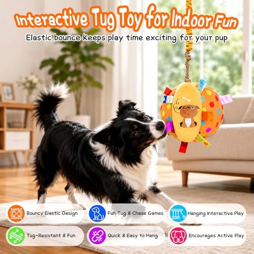 Colorful Squeaky Hanging Dog Toy for Pet Parents, Trainers & Multi-Dog Households – Soft Cotton Plush with Built-in Bell & Squeaker – Stretchy Elastic for Indoor/Outdoor Fetch & Training