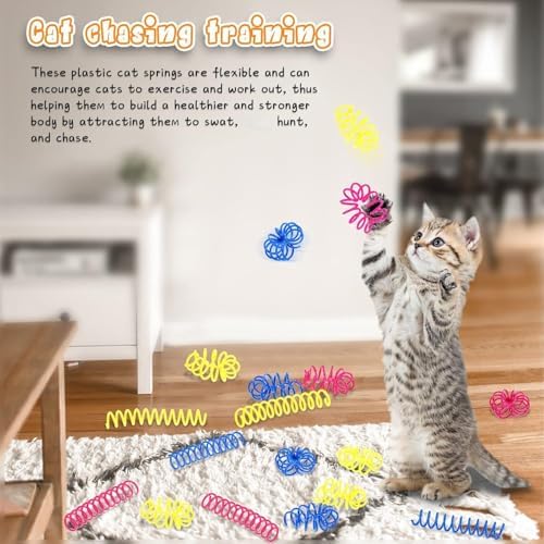 Charniol 60 Pcs Cat Spring Toys for Indoor Cat Kitten, 3 Inch
