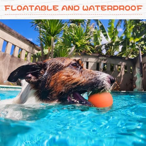 Hiboom 15 Pack Natural Rubber Dog Tennis Balls for Fetch, Orange