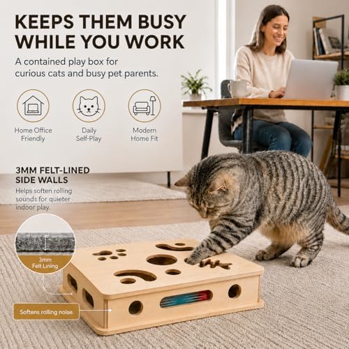 Cat Puzzle Enrichment Box & Nail File Scratcher with Automatic Rolling Ball