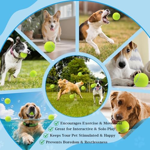 Magicorange Tennis Balls for Dogs,Colorful Easy Catching Dog Balls,90 Pack
