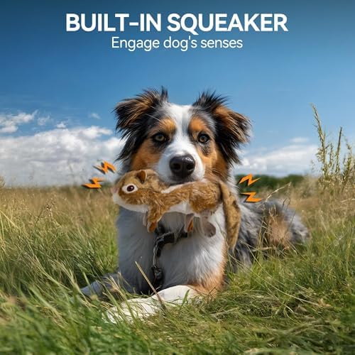ALL FOR PAWS Chipmunk Squeaky Doy Toy, Squirrel Dog Toy for Medium Large Breed, Puppy Fetch Toy with Squeaker, Plush Chew Dog Toy, Chipmunk-L