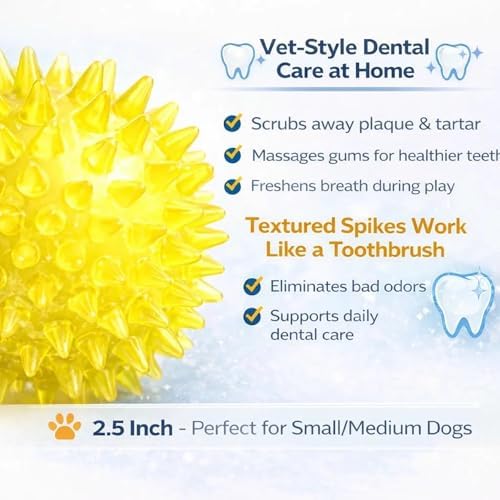 Squeaky Spiky Dog Ball 2.5 Inch for Small Medium Dogs (Color Varies), Teeth Cleaning & Gum Massage, Spiny TPR Rubber Chew Toy for Fetch Play, Interactive Bouncy Dental Ball, Durable BPA Free