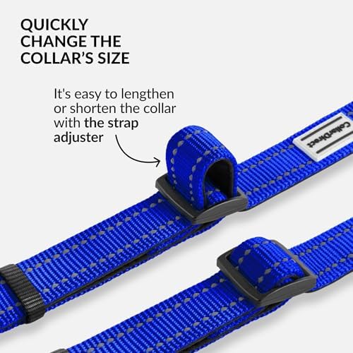Reflective Dog Collar, Quick-Release Buckle (Blue, 10-13 Inch)