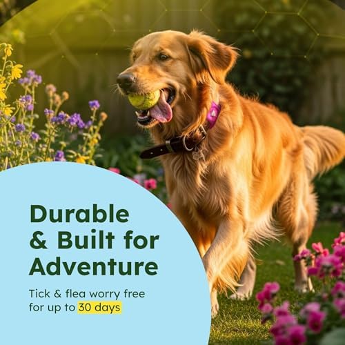 BugMD Paw Guardian Flea and Tick Prevention Pendant for Dogs