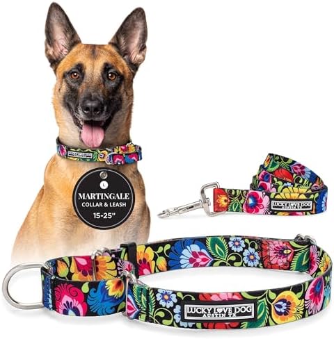 Lucky Love Dog Martingale Collar & Leash Set No Slip – Blackbird, Large