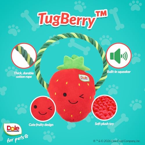 Dog Rope Toy with Squeakers, Strawberry Tug of War Dog Toy, Tough Cotton Rope Toys for Dogs, Aggressive Chew Toys for Medium Dogs