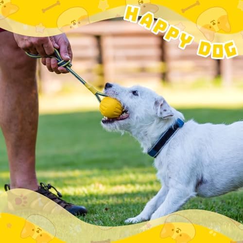 Hsei 2 Pcs 2.8" Dog Rope Toy Ball on Rope Fetch and Tug of War Toy for Dog