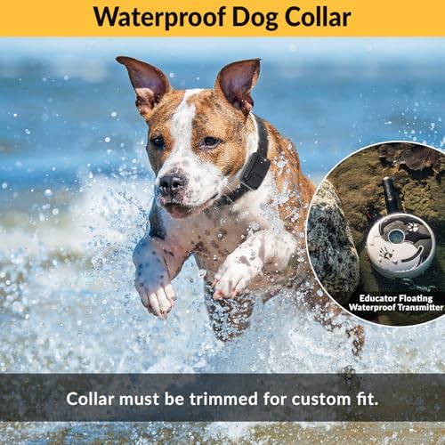 E-Collar Mini Educator ET-300 Remote Dog Training Collar, ZEN