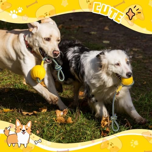Hsei 2 Pcs 2.8" Dog Rope Toy Ball on Rope Fetch and Tug of War Toy for Dog