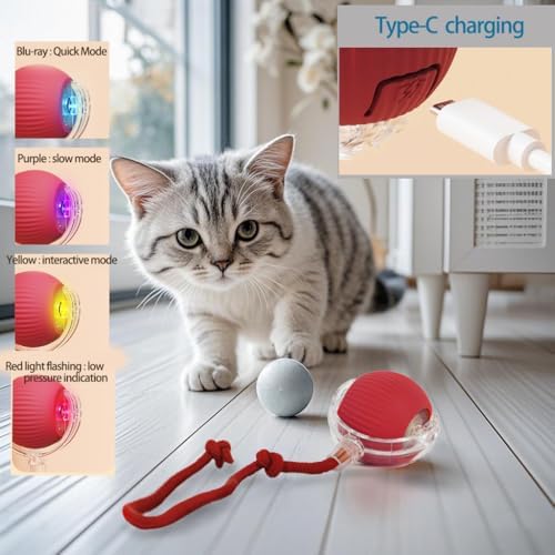 KumCinn Interactive Dog Ball for Small Medium Dogs, Automatic Self Moving Cat Toys Ball for Indoor Cats, 360° Rolling Electric Pet Ball, Fast Smart Motion Activated Toy (Blue)