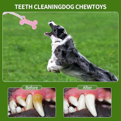 4 PCS Puppy Chew Toys for Teething Small Breed, Puppy Teething Ring, Soft Rubber Durable Dog Teething Toys, Rope Dog Toys, Funny Interactive Toy, Puppy Toys for Small Puppies, Dog Toys Set (Style 9)