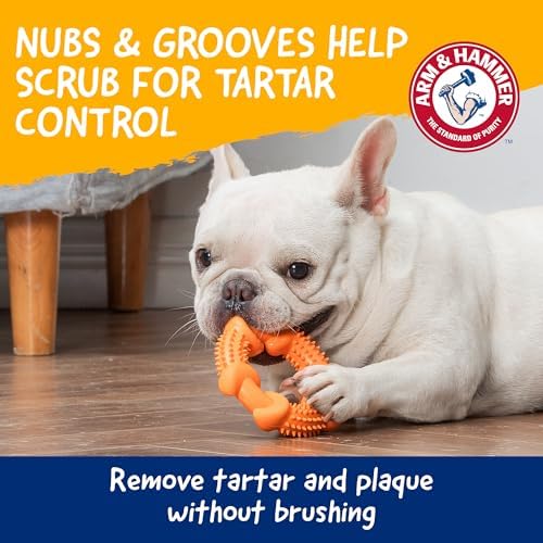 Arm & Hammer Nubbies Rubber Ring Dog Dental Chew Toy, Peanut Butter