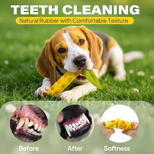 Fida 2-in-1 Puppy Teething Toys, Natural Rubber Chew Toys for Dogs, Corn