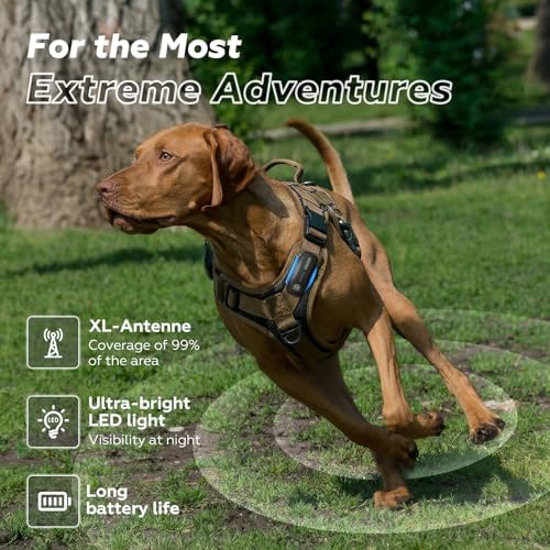 DBDD AI GPS Tracker for Dogs (30lbs+) - Real-Time Location & AI Health Assistant, Electronic Fence Collar for Escape Artists, Waterproof Dog GPS Tracker for Medium Large Dogs, iOS Android