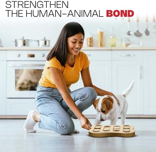 SPOT Interactive Seek-A-Treat Shuffle Bone Dog Toy Puzzle | Dog Treat Reward Toy Improves Your Dog's IQ | Specially Designed for Training Treats